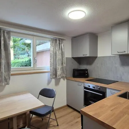 Completely Refurbished Comfortable Apartment Ringgenberg